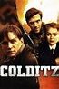 Colditz (TV Series 2005-2005) - Posters — The Movie Database (TMDB)