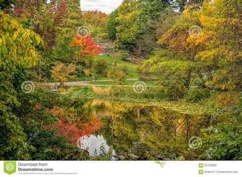 Beautiful Autumn Scenery Stock Image Image Of Fall Lake