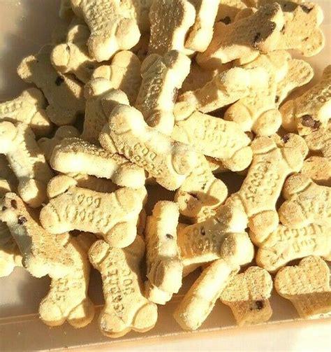 Scooby Snacks Choc Carob Wholegrain Flaxseed 5kg Bulk Buy Bdps Wholesale