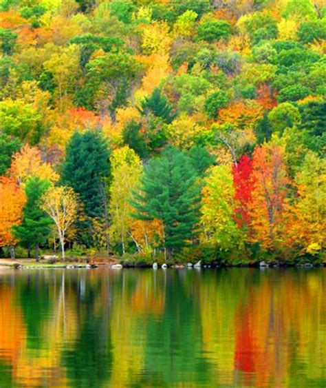 Fall Foliage On Newfound Lake New Hampshire