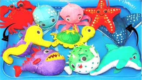 Sea Creatures For Kids Sea Animals For Kids Kids Fun Tv Youtube