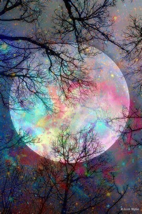 Rainbow Moon Through The Trees Cute Wallpaper Backgrounds Pretty