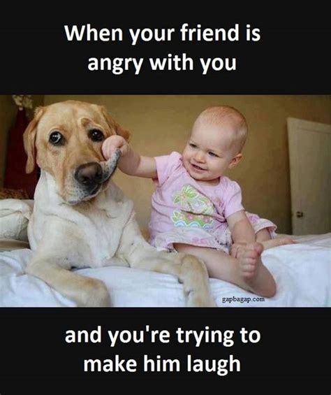 Funny Meme Of The Day Ft Baby And The Dog Funny Babies Big Dogs Dogs