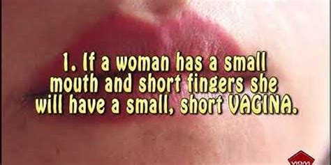 vagina lip là gì Nghĩa của từ vagina lip