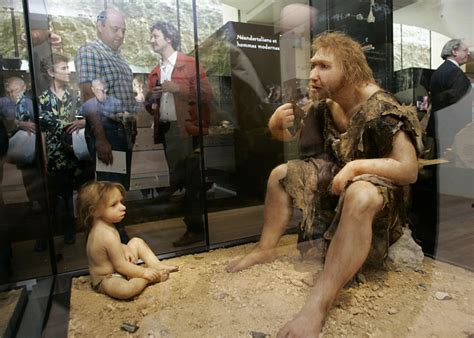 What Will Humans Look Like 10000 Years From Now Ibtimes