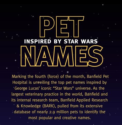 There's not much options out there for it (cis should be a faction anyways). The Top "Star Wars" Inspired Dog Names - iHeartDogs.com
