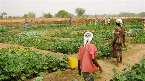 Agroecology In Burkina Faso