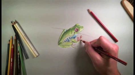 Colored Pencil Drawing Of A Frog Youtube