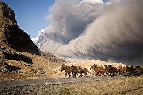 Iceland Volcano Has Quieted Down—ash Crisis To End Icelandic Horse