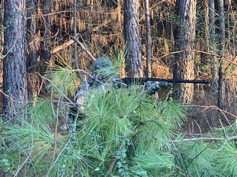 How To Utilize A Turkey Hunting Blind Great Days Outdoors