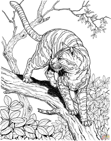 Feel free to print and color from the best 40+ free printable tiger coloring pages at getcolorings.com. Cute Baby Tiger Coloring Pages - Coloring Home