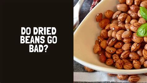do dried beans go bad how long do dried beans last