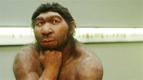 Modern Humans Mated With Denisovans More Than Once Find Scientists