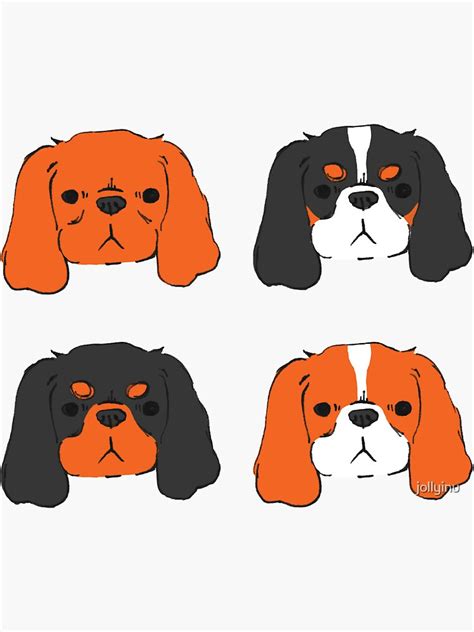 Cavalier King Charles Spaniel Blenheim Tri Ruby And Black And Tan