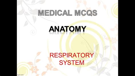 ANATOMY MCQ RESPIRATORY SYSTEM YouTube