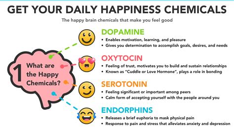 Are You Getting Your Daily Dose Of Happiness Chemicals