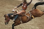 Rodeo 4K Wallpapers - Top Free Rodeo 4K Backgrounds - WallpaperAccess