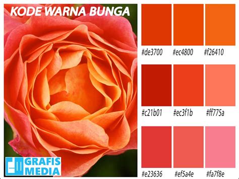 Cara Mengetahui Kode Warna Di Photoshop Siap Ujian