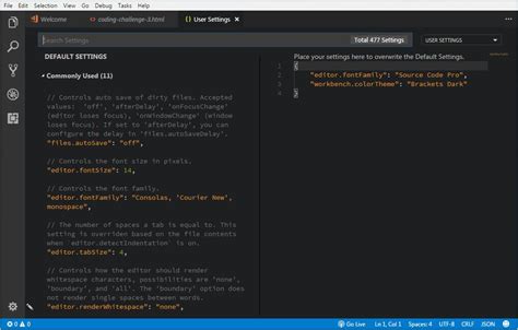 Source Code Pro Font For Visual Studio Code