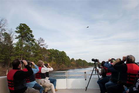 Maybe you would like to learn more about one of these? Watchable Wildlife | Arkansas State Parks