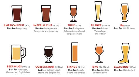 Beer Glass Buying Guide Types Shapes Sizes Explained Vlr Eng Br