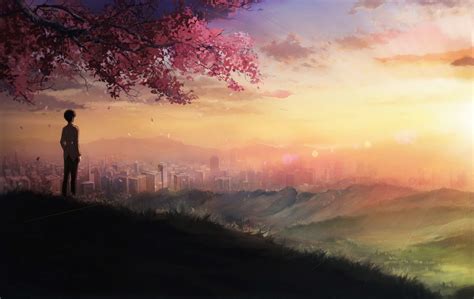 Anime Boy Sunset Wallpapers Wallpaper Cave