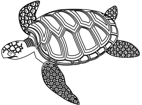 Earth and sea turtle with quote when one tugs at a single thing in nature, he finds it. Mozaic Green Sea Turtle Coloring Page - Download & Print ...