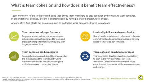 Team Cohesion Is Positively Linked To Organizational Performance How