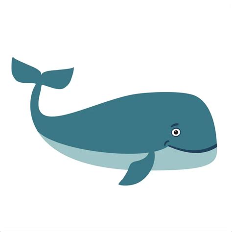 Gray Whale Launches Water Cartoon Illustration Isolated Object White