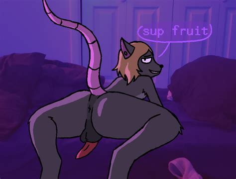 Rule 34 Anthro Anus Ass Balls Genitals Hi Res Looking At Viewer Male