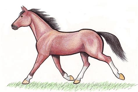 Trotting Horse By Crawdademily On Deviantart