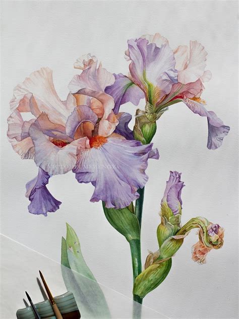 Art Collectibles Watercolor Painting Botanical Art Original