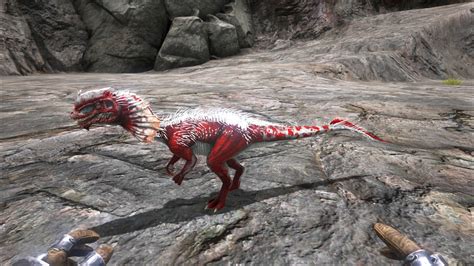 Dilophosaur Official Ark Survival Evolved Wiki