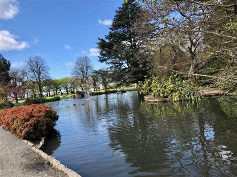 Thursdays Reflections Cornwall Park Hastings Virily