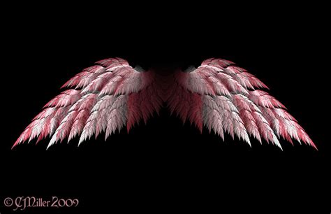 Angel Wings Wallpaper Wallpapersafari