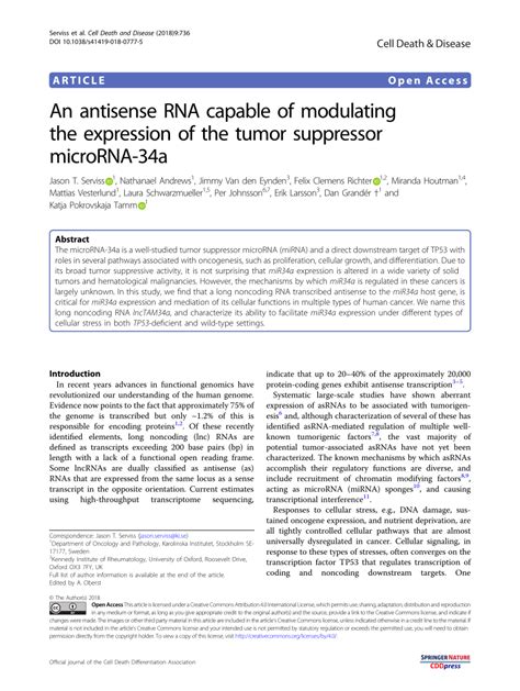 pdf an antisense rna capable of modulating the expression of the tumor suppressor microrna 34a