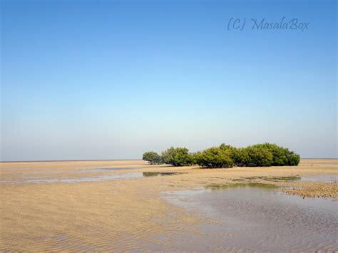 Narara Marine National Park Jamnagar