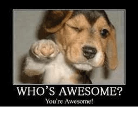 Whos Awesome Youre Awesome 32592963 Summit Jewelers 7821 Big Bend