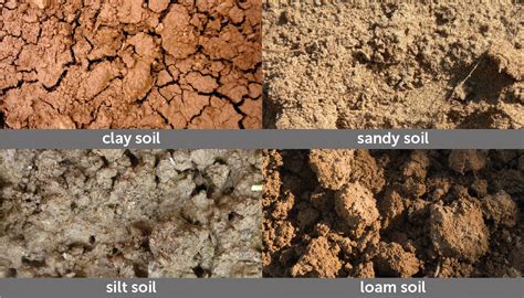 Get Your Soil Tested The Best Way To Determine If Your Soil Is Good