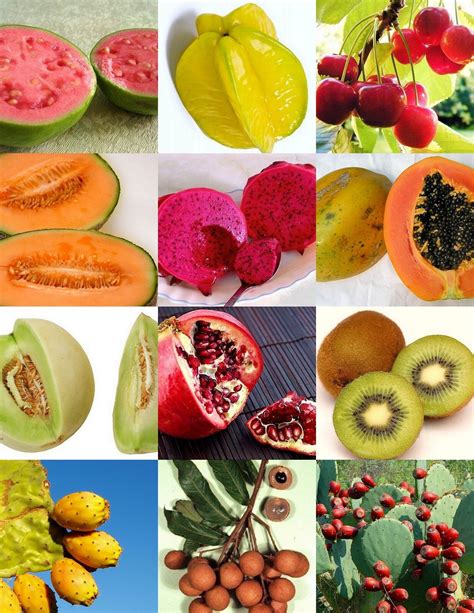 Exotic Tropical Fruits Mix Sweet Edible Plant Tree Fragrant Fruit Seed
