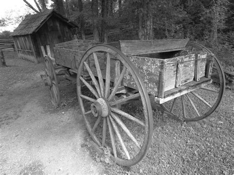 Pin By E Wills Groseclose On Wall Artphotos Horse Wagon Old Wagons