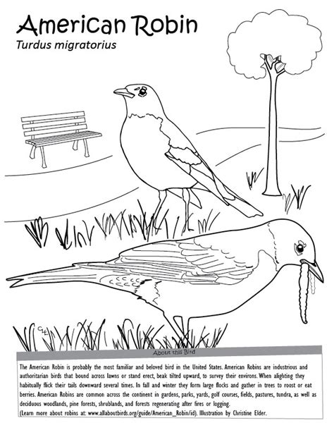 Color your own are black and white line drawings or coloring pages, all of them my own original artwork, which you can copy and color in the graphics program didn't find what you need? Nature Coloring Pages for Kids