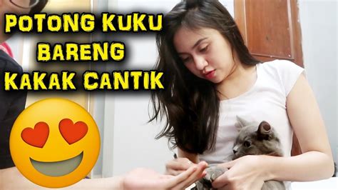 Memotong kuku kucing termasuk bagian dari grooming yang harus dilakukan secara rutin. KUCING GANTENG POTONG KUKU ! - YouTube