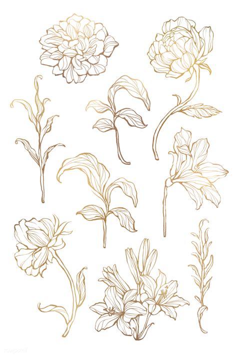 Brown floral , floral design gold pattern, european gold border pattern transparent background png clipart. Golden floral set png | Royalty free stock transparent png ...