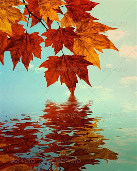 Autumn Water Reflection Background Water Reflection Photography