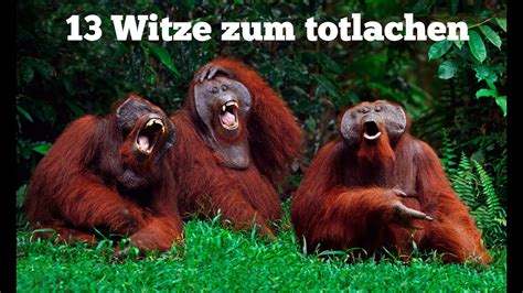 Tolle witze gegen langeweile aberwitzigcom. Die besten Witze zum TOTLACHEN!! - YouTube