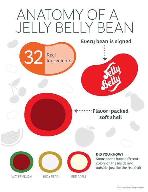 Jelly Belly Unveils Behind The Scenes Facts For National Jelly Bean Day