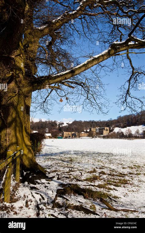 Rievaulx Abbey In North Yorkshire Hi Res Stock Photography And Images