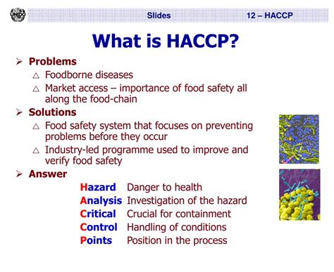Ppt Haccp Hazard Analysis Critical Control Point Powerpoint My XXX