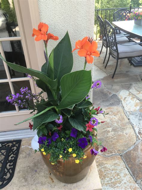 Outdoor Summer Flowers Pots Planters Urns Design Ideas Container